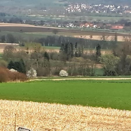 Zur Schoenen Aussicht Hamelin Zewnętrze zdjęcie