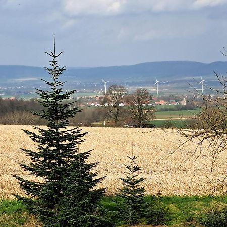 Zur Schoenen Aussicht Hamelin Zewnętrze zdjęcie