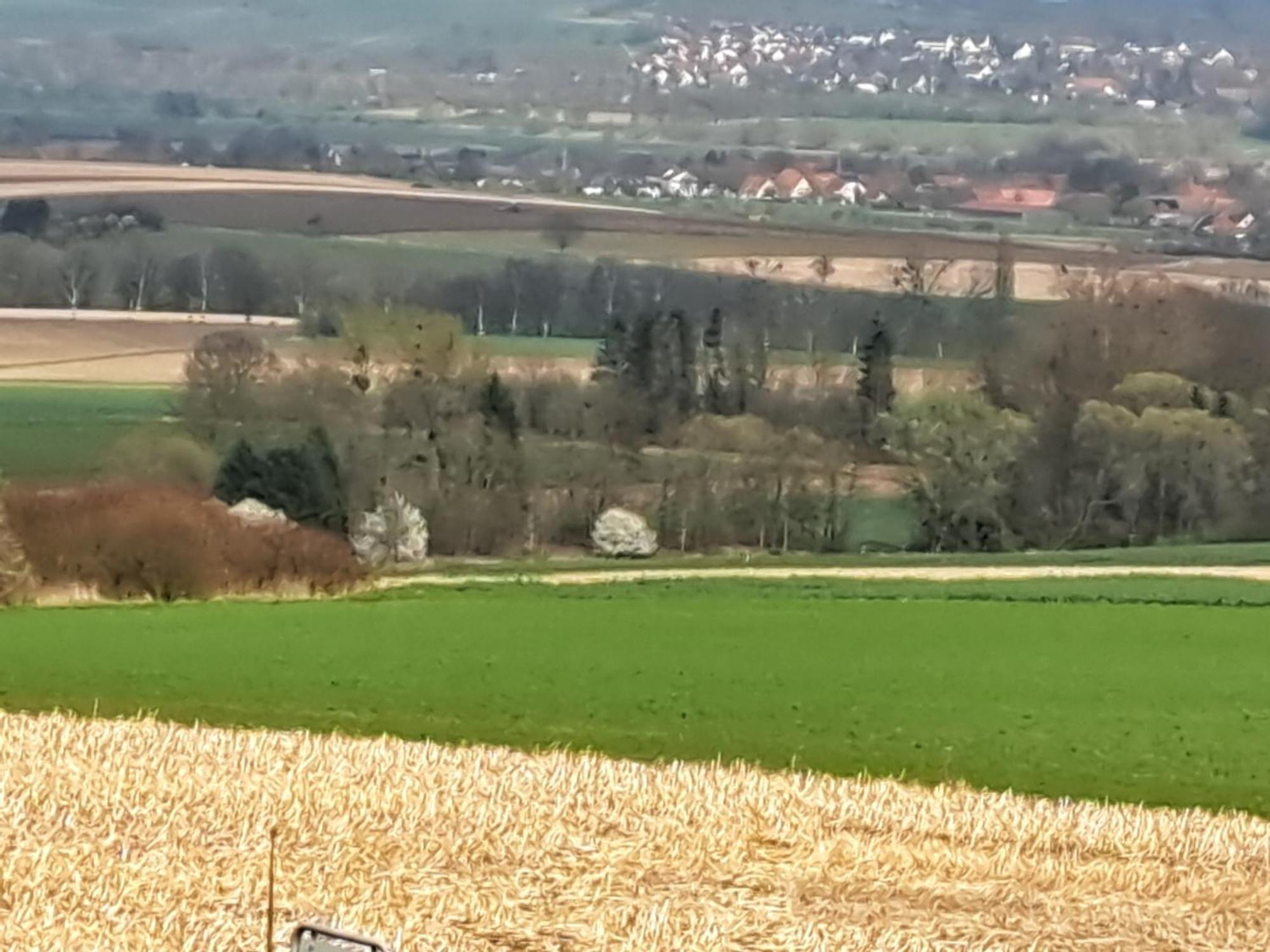 Zur Schoenen Aussicht Hamelin Zewnętrze zdjęcie