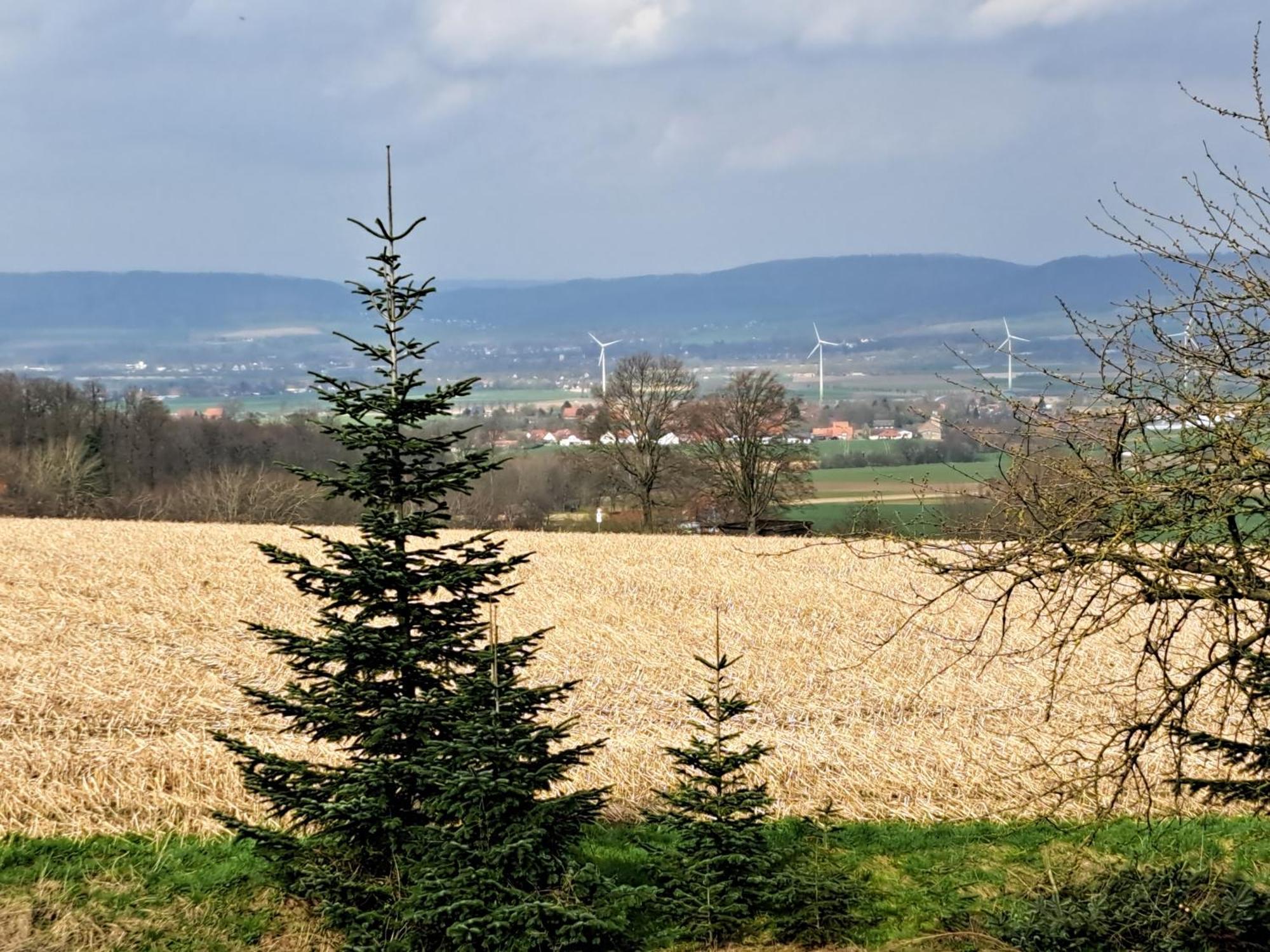 Zur Schoenen Aussicht Hamelin Zewnętrze zdjęcie