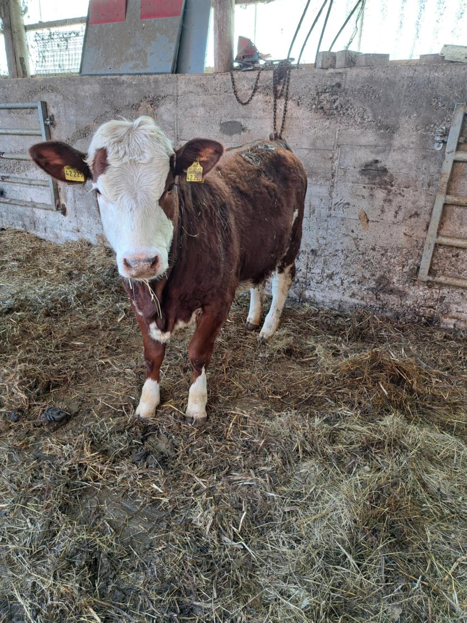 Zur Schoenen Aussicht Hamelin Zewnętrze zdjęcie